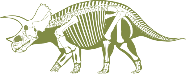 profile-photo-dino-triceratops